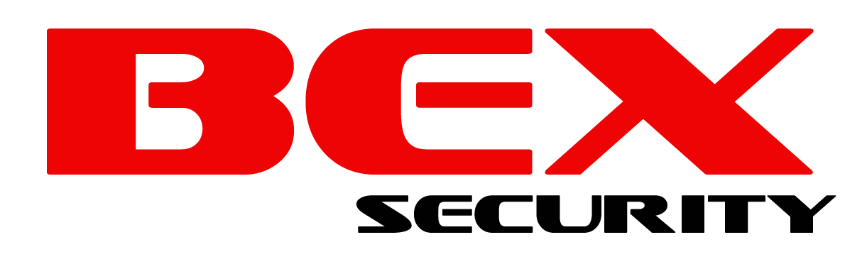 NEW BEX logo words